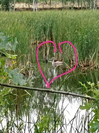 Ferienlager Machern 1-2023 - Naturstudien