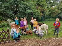 Ferienlager Machern 2-2023 - Gruppenfoto mit den Alpakas